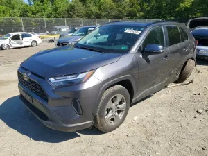 Toyota Rav4 2.5L 4 2024