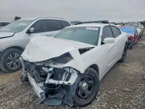 Dodge Charger 5.7L 8 2021