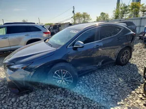 Lexus NX 2.4L 4 2024