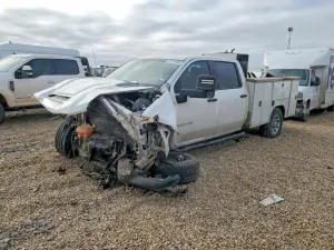 Chevrolet Silverado 1500 6.6L 8 2021