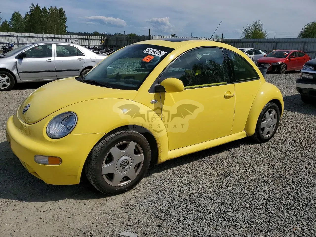 Volkswagen Beetle 1.9L 4 2001