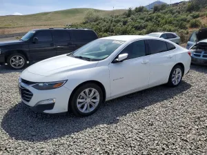 Chevrolet Malibu 1.5L 4 2023