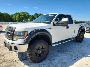 Ford F-150 4.6L 8 2010