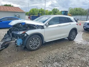 Infiniti QX50 2.0L 4 2023