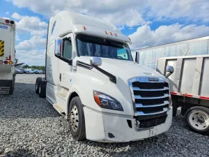 Freightliner Cascadia 12.8L 6 2019