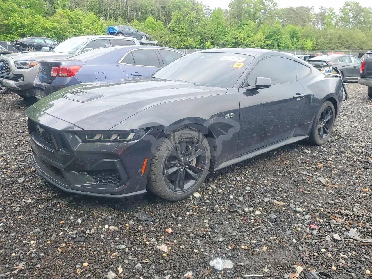 Ford Mustang 5.0L 8 2024