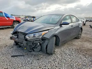 Kia Cerato / Forte / K3 2.0L 4 2021