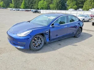 Tesla Model 3 2019