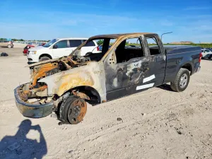 Ford F-150 4.6L 8 2006