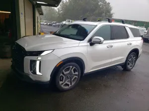 Hyundai Palisade 3.8L 6 2023