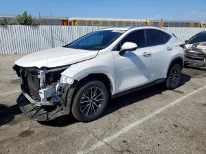 Lexus NX 2.5L 4 2025