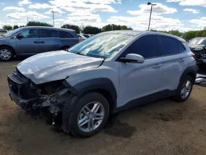 Hyundai Kona 2.0L 4 2022