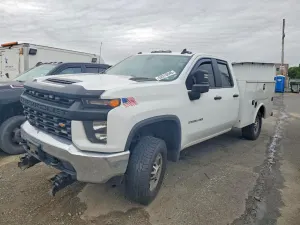 Chevrolet Silverado 1500 6.6L 8 2020