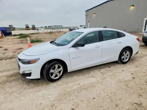 Chevrolet Malibu 1.5L 4 2020