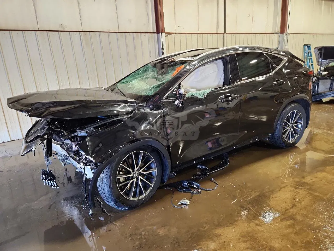 Lexus NX 2.4L 4 2024