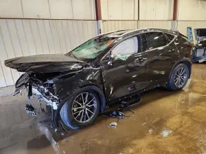 Lexus NX 2.4L 4 2024