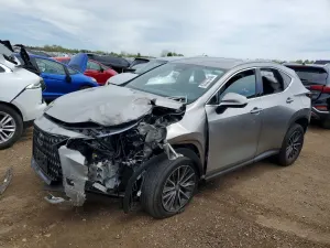 Lexus NX 2.4L 4 2024