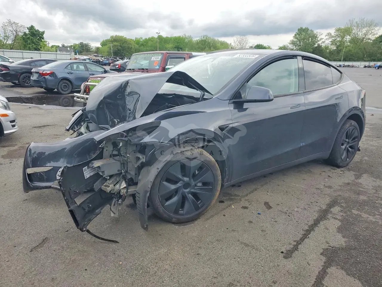 Tesla Model Y 2024