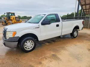 Ford F-150 4.6L 8 2010