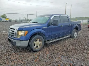 Ford F-150 4.6L 8 2009
