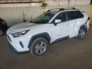 Toyota Rav4 2.5L 4 2024