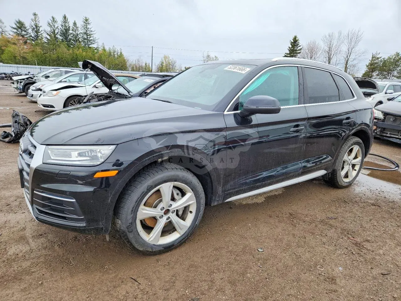 Audi Q5 2.0L 4 2019