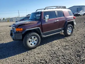 Toyota FJ Cruiser 4.0L 6 2007