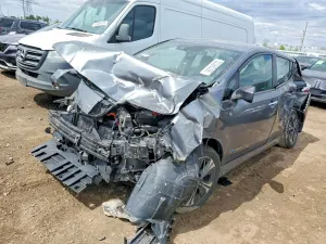 Nissan Leaf 0.0L 0 2019