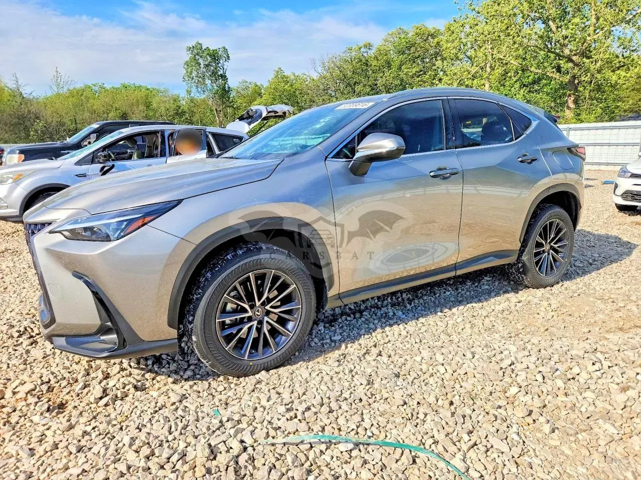 Lexus NX 2.4L 4 2022