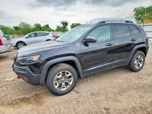 Jeep Cherokee 2.0L 4 2019