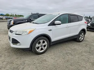 Ford Escape 1.6L 4 2014