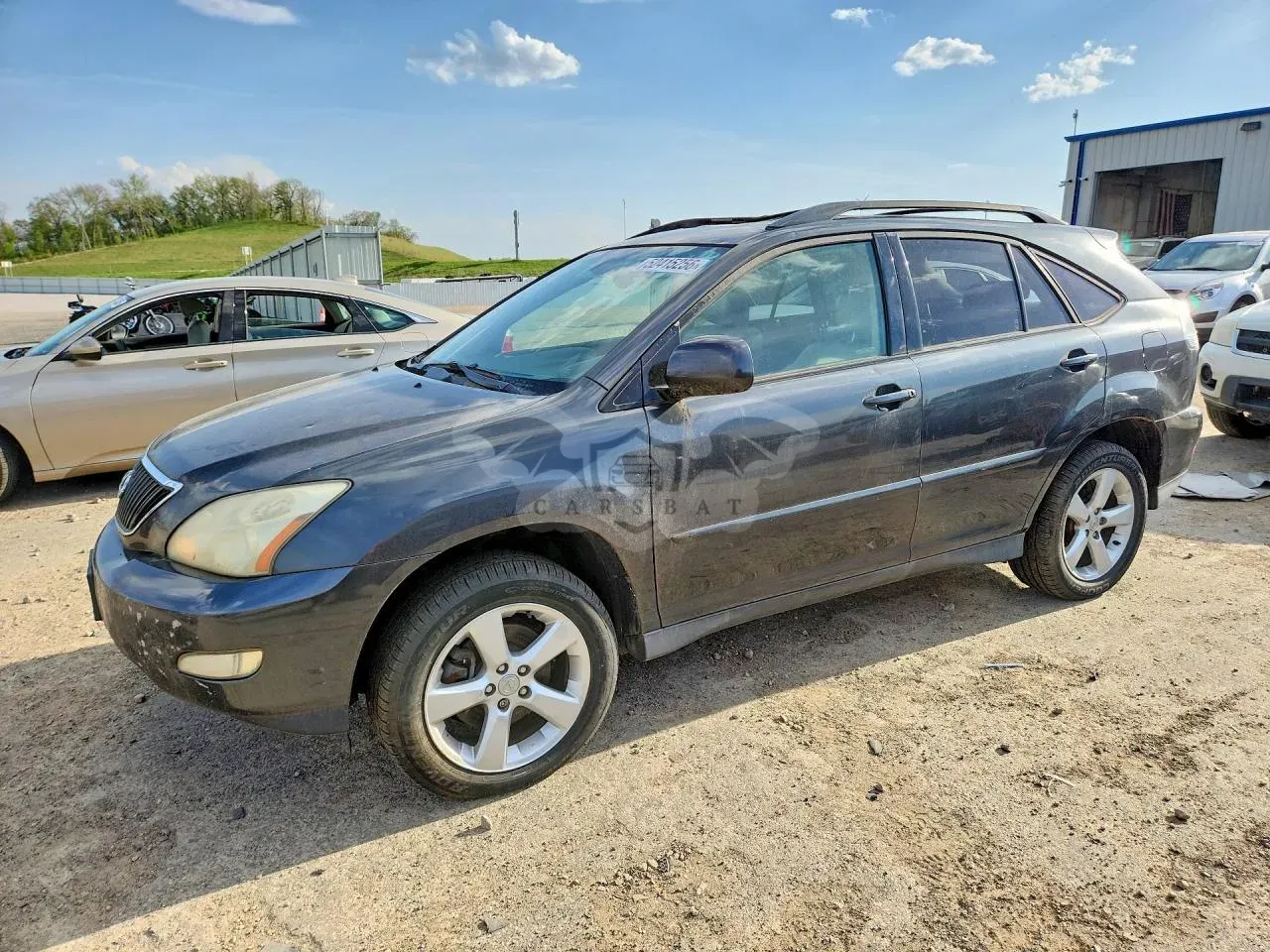 Lexus RX 3.3L 6 2004