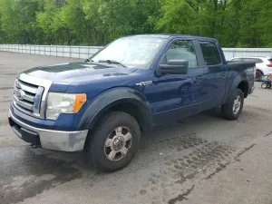 Ford F-150 4.6L 8 2010