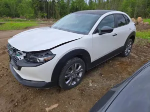 Mazda CX-30 2.5L 4 2021