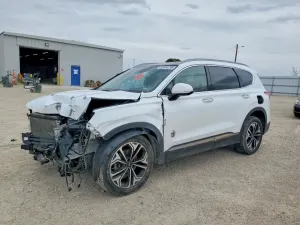 Hyundai Santa Fe 2.0L 4 2020