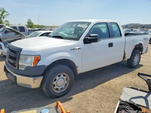 Ford F-150 4.6L 8 2009
