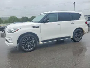 Infiniti QX80 5.6L 8 2024
