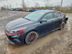 Kia Cerato / Forte / K3 2.0L 4 2023