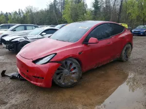 Tesla Model Y 2020