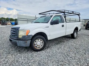 Ford F-150 4.6L 8 2010