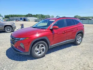 Hyundai Tucson 2.5L 4 2024
