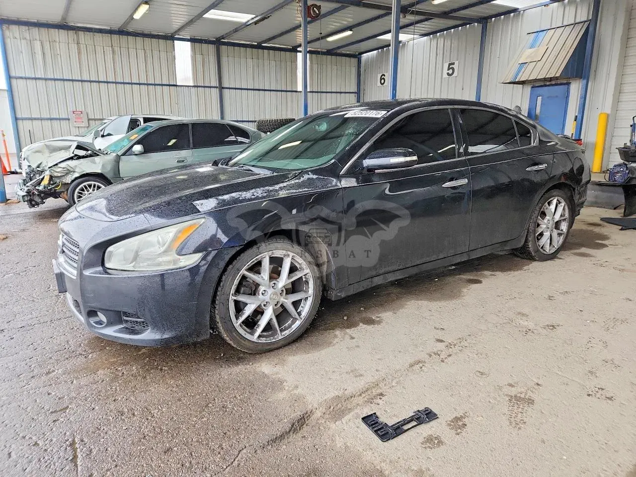 Nissan Maxima 3.5L 6 2009