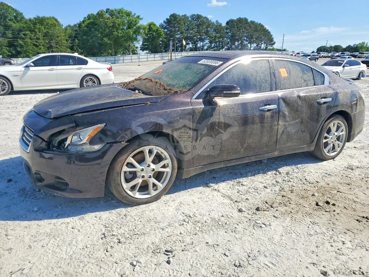 Nissan Maxima 3.5L 6 2012