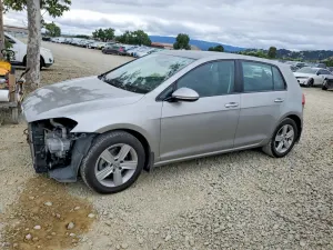 Volkswagen Golf 1.8L 4 2017