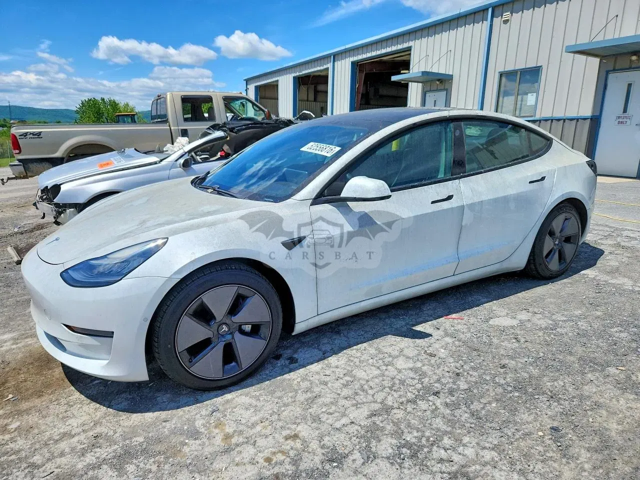 Tesla Model 3 2021