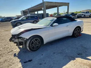 Ford Mustang 2.3L 4 2021
