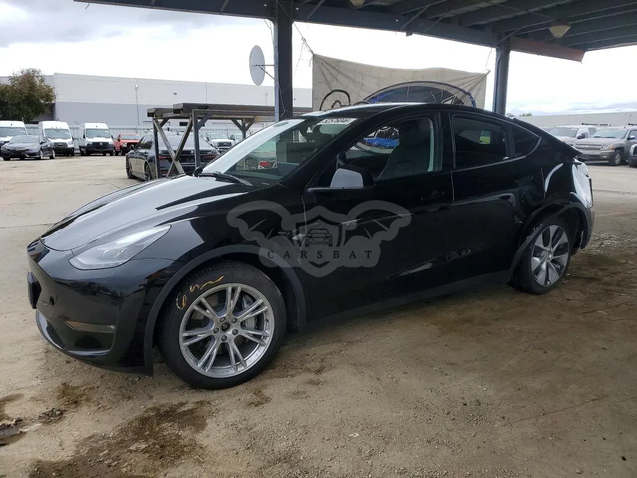 Tesla Model Y 2024