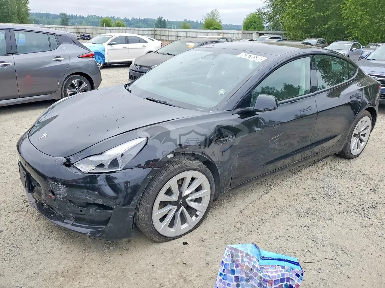 Tesla Model 3 2022