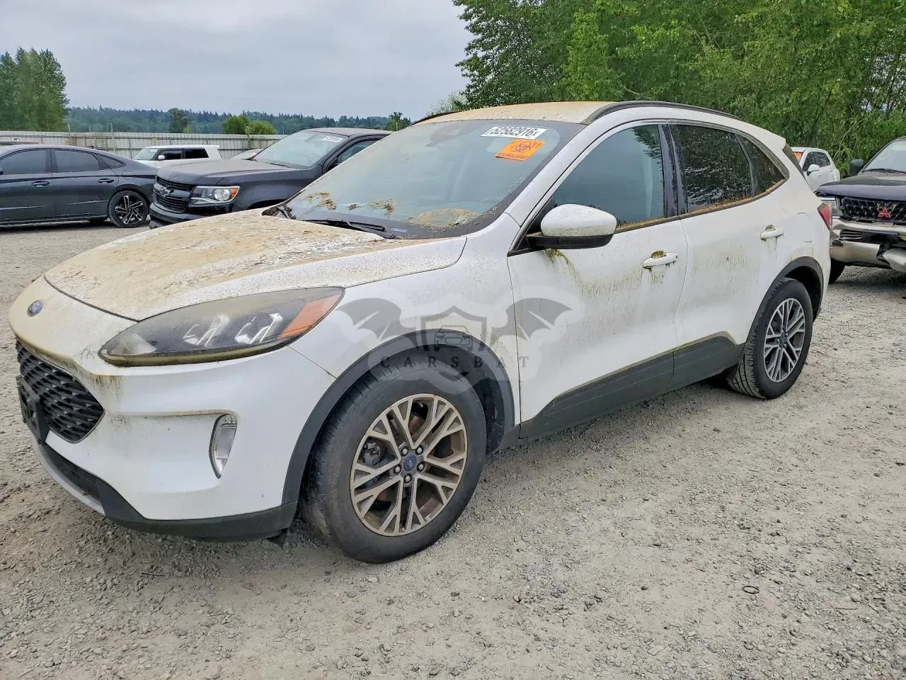 Ford Escape 1.5L 3 2020