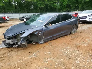 Tesla Model 3 2019